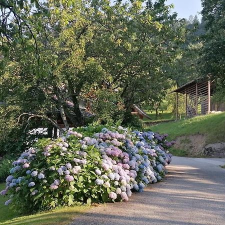 Apartma Na Ravnicah Cerkno Exterior foto