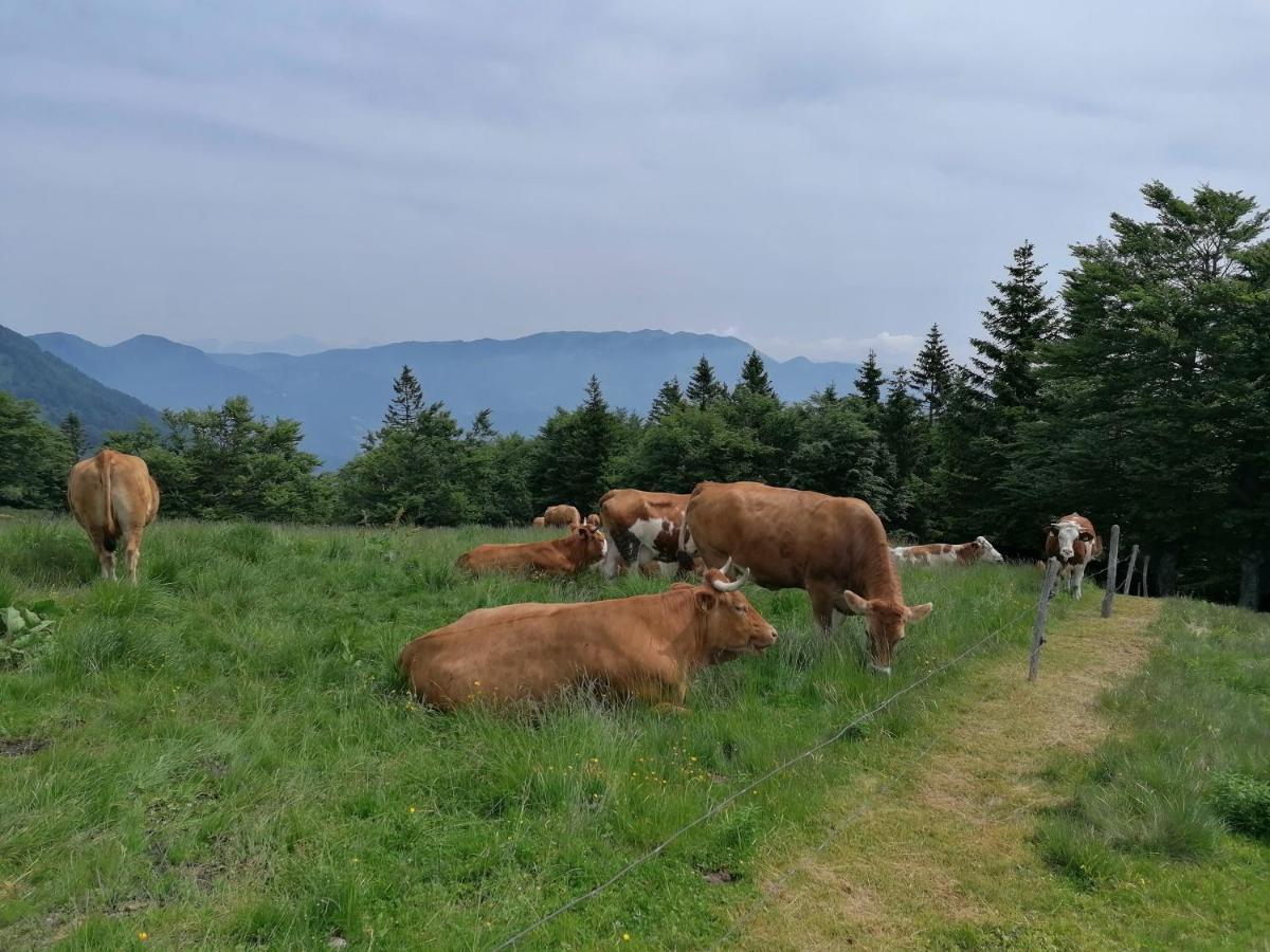 Apartma Na Ravnicah Cerkno Exterior foto