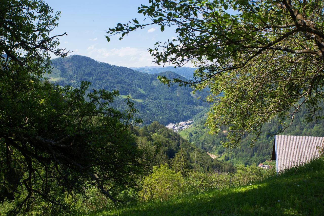 Apartma Na Ravnicah Cerkno Exterior foto